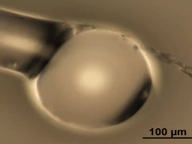 Attaching Biological Probes to Silica Optical Biosensors Using Silane Coupling Agents