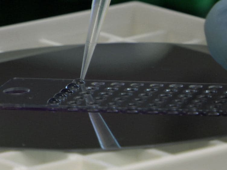 Low Molecular Weight Protein Enrichment on Mesoporous Silica Thin Films for Biomarker Discovery