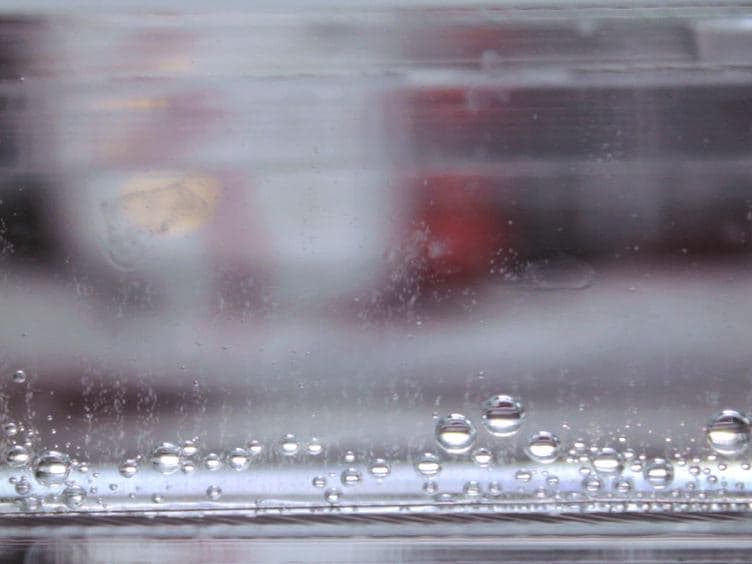 Agarose Gel Electrophoresis for the Separation of DNA Fragments