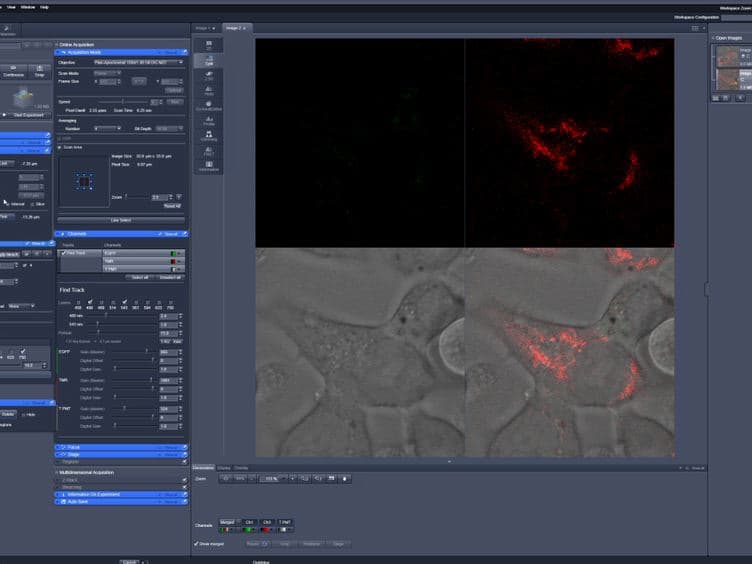 A Faster, High Resolution, mtPA-GFP-based Mitochondrial Fusion Assay Acquiring Kinetic Data of Multiple Cells in Parallel Using Confocal Microscopy