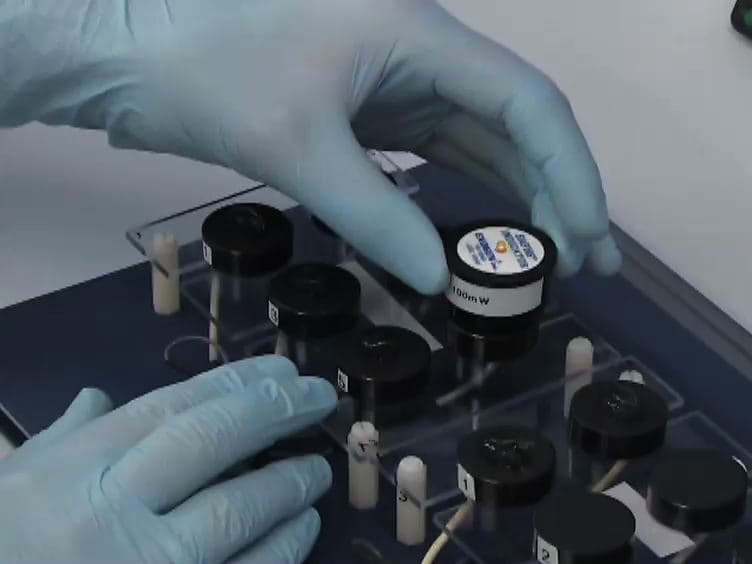 Induction of Adhesion-dependent Signals Using Low-intensity Ultrasound