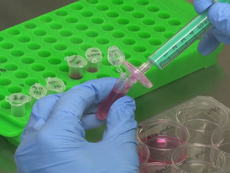 Two Methods of Heterokaryon Formation to Discover HCV Restriction Factors