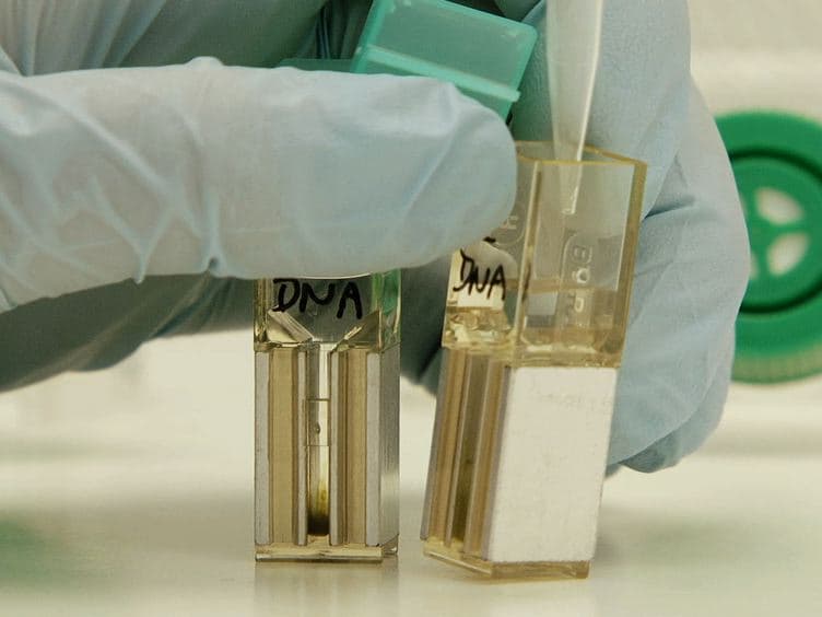 Genomic Transformation of the Picoeukaryote <em>Ostreococcus tauri</em>