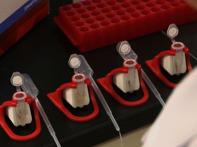 Conversion of a Capture ELISA to a Luminex xMAP Assay using a Multiplex Antibody Screening Method