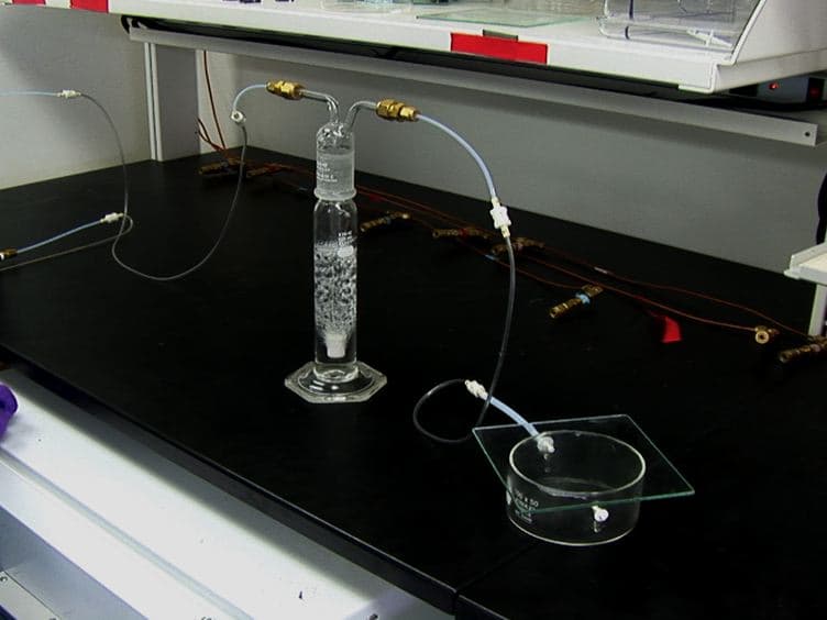 Creating Defined Gaseous Environments to Study the Effects of Hypoxia on <em>C. elegans</em>