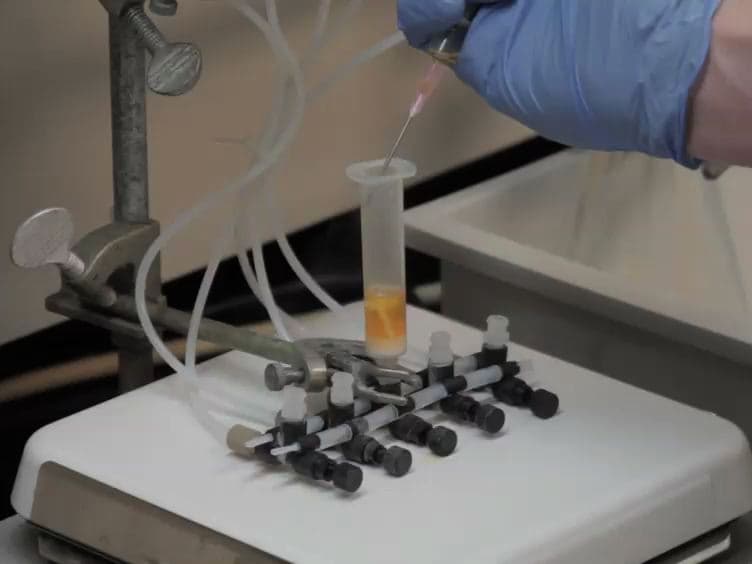 Solid Phase Synthesis of a Functionalized Bis-Peptide Using "Safety Catch" Methodology
