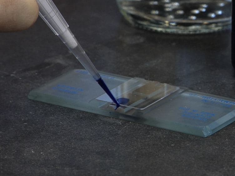 Small-scale Nuclear Extracts for Functional Assays of Gene-expression Machineries