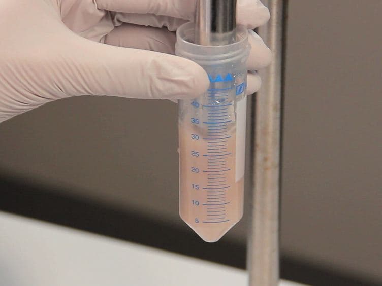Isolation of Cardiomyocyte Nuclei from Post-mortem Tissue