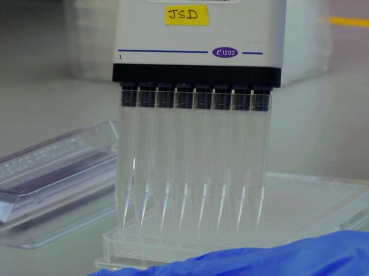High-throughput Screening for Small-molecule Modulators of Inward Rectifier Potassium Channels