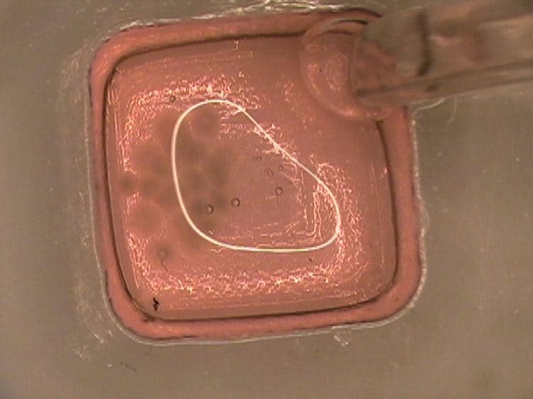 Human Neuroendocrine Tumor Cell Lines as a Three-Dimensional Model for the Study of Human Neuroendocrine Tumor Therapy