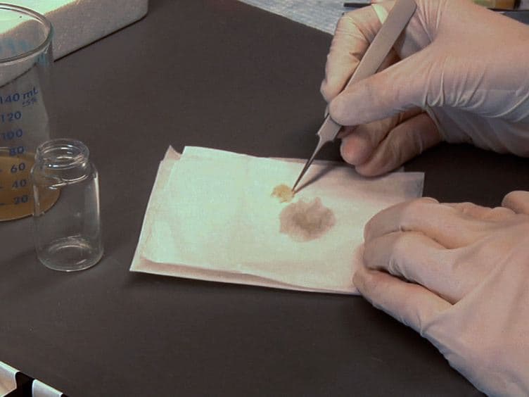 3-Dimensional Resin Casting and Imaging of Mouse Portal Vein or Intrahepatic Bile Duct System