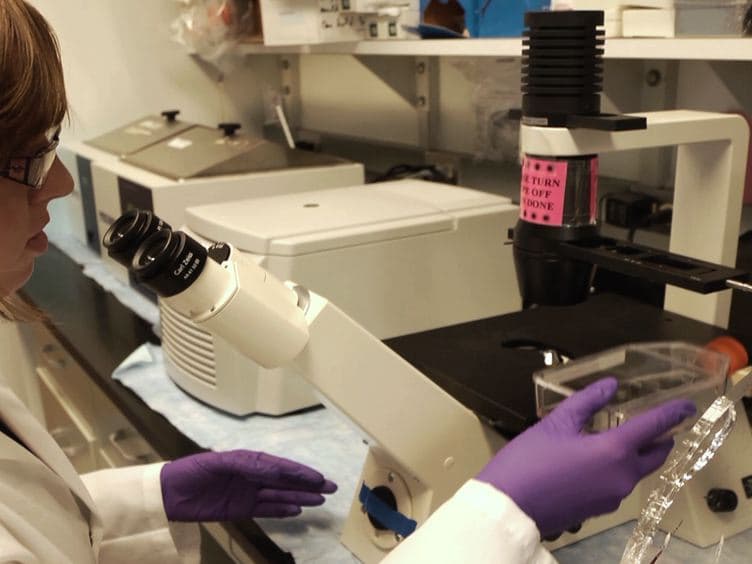 Progenitor-derived Oligodendrocyte Culture System from Human Fetal Brain