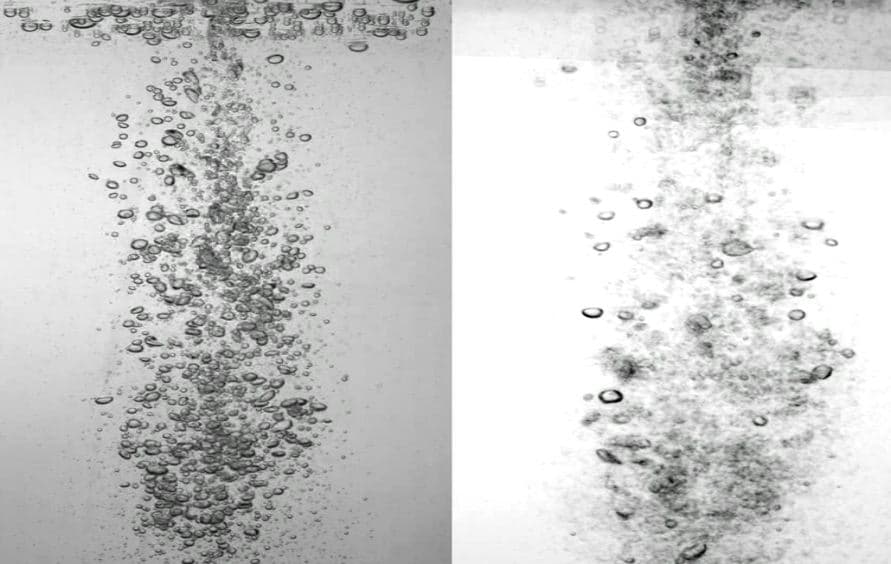 Determining 3D Flow Fields via Multi-camera Light Field Imaging