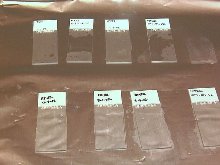 Assaying DNA Damage in Hippocampal Neurons Using the Comet Assay