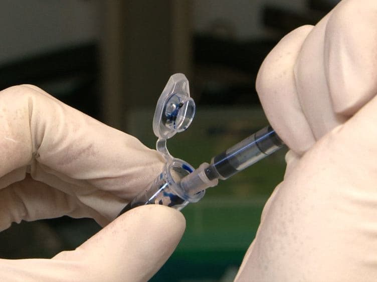 An <em>in vivo</em> Assay to Test Blood Vessel Permeability