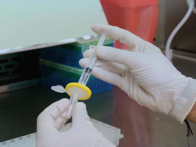 Generation and Recovery of β-cell Spheroids From Step-growth PEG-peptide Hydrogels
