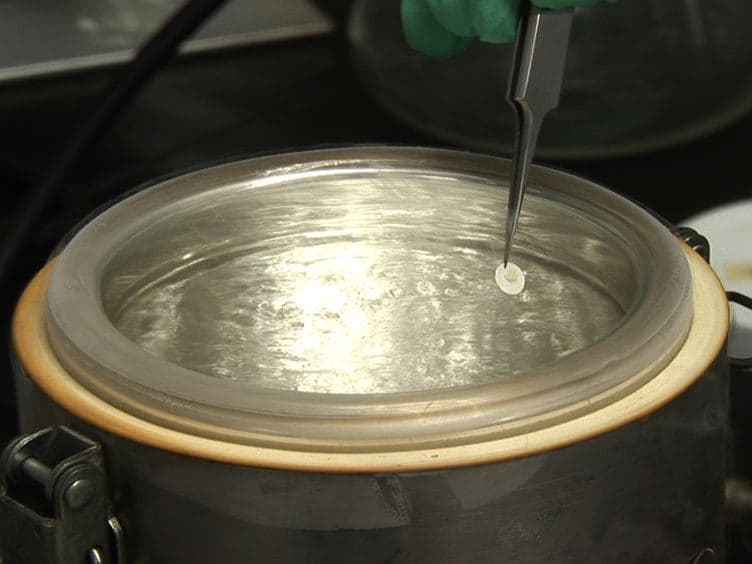 Cryosectioning Yeast Communities for Examining Fluorescence Patterns