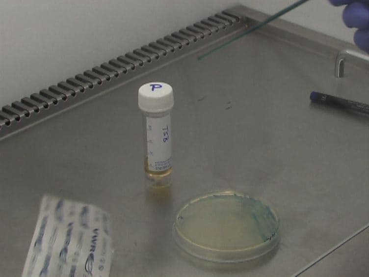 A Visual Assay to Monitor T6SS-mediated Bacterial Competition