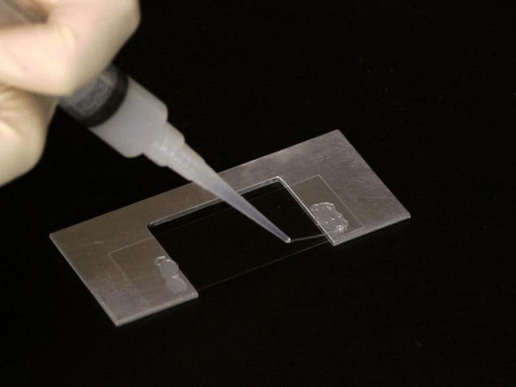Flexural Rigidity Measurements of Biopolymers Using Gliding Assays
