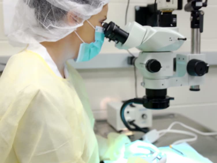 A Novel Vertebral Stabilization Method for Producing Contusive Spinal Cord Injury