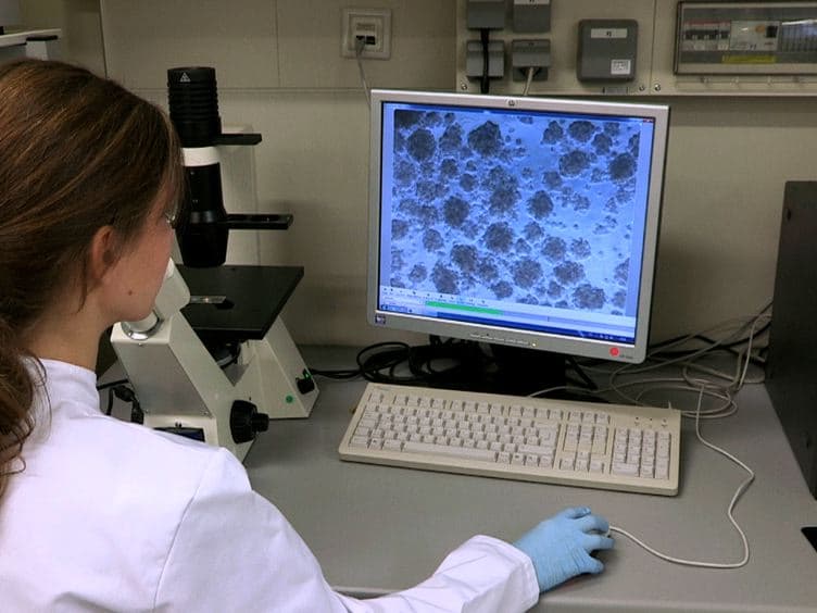 Na&iuml;ve Adult Stem Cells Isolation from Primary Human Fibroblast Cultures