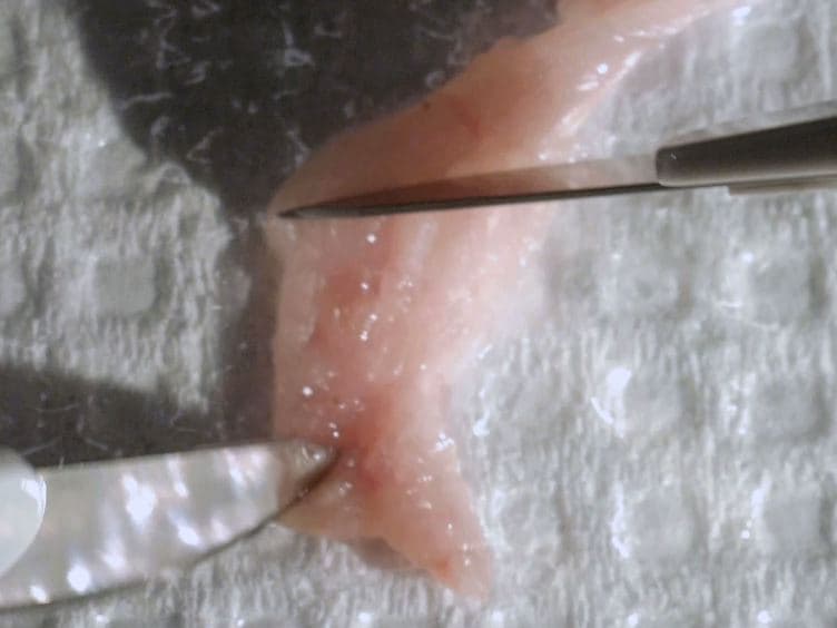 Time-lapse Imaging of Primary Preneoplastic Mammary Epithelial Cells Derived from Genetically Engineered Mouse Models of Breast Cancer