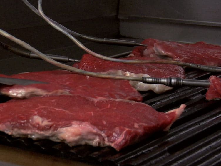 Introducing an Angle Adjustable Cutting Box for Analyzing Slice Shear Force in Meat