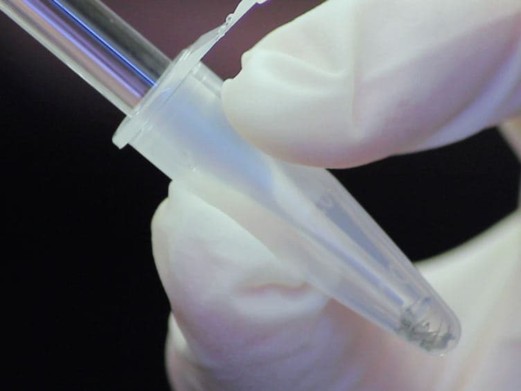 Analysis of Embryonic and Larval Zebrafish Skeletal Myofibers from Dissociated Preparations