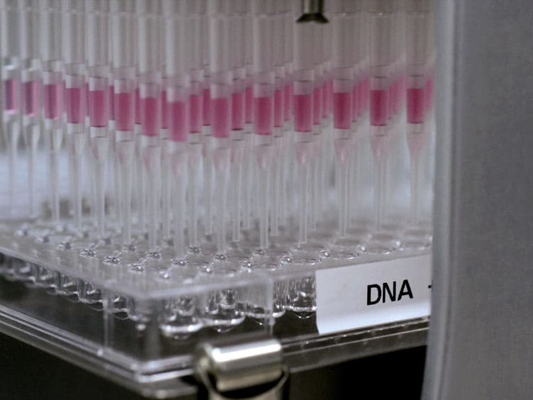 High-throughput Functional Screening using a Homemade Dual-glow Luciferase Assay