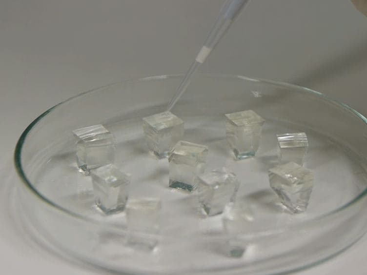 Creating Adhesive and Soluble Gradients for Imaging Cell Migration with Fluorescence Microscopy