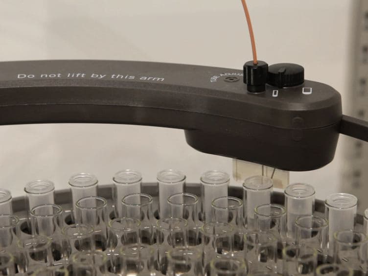 Application of an In vitro DNA Protection Assay to Visualize Stress Mediation Properties of the Dps Protein