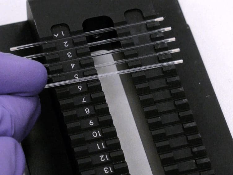 Protein Purification-free Method of Binding Affinity Determination by Microscale Thermophoresis
