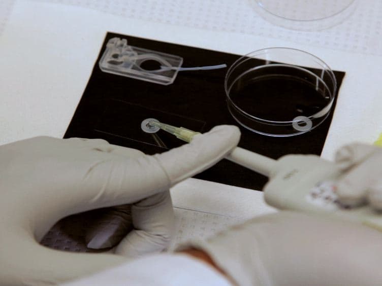 Patch Clamp Recordings from Embryonic Zebrafish Mauthner Cells