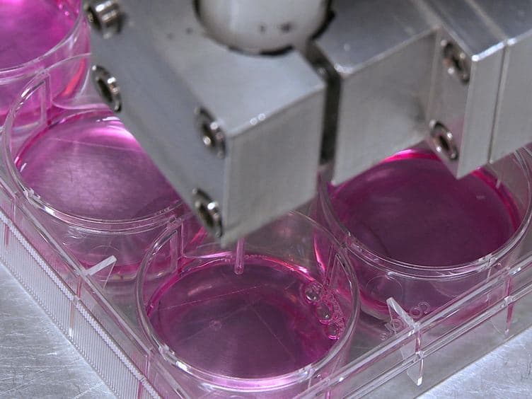 Permeabilization of Adhered Cells Using an Inert Gas Jet