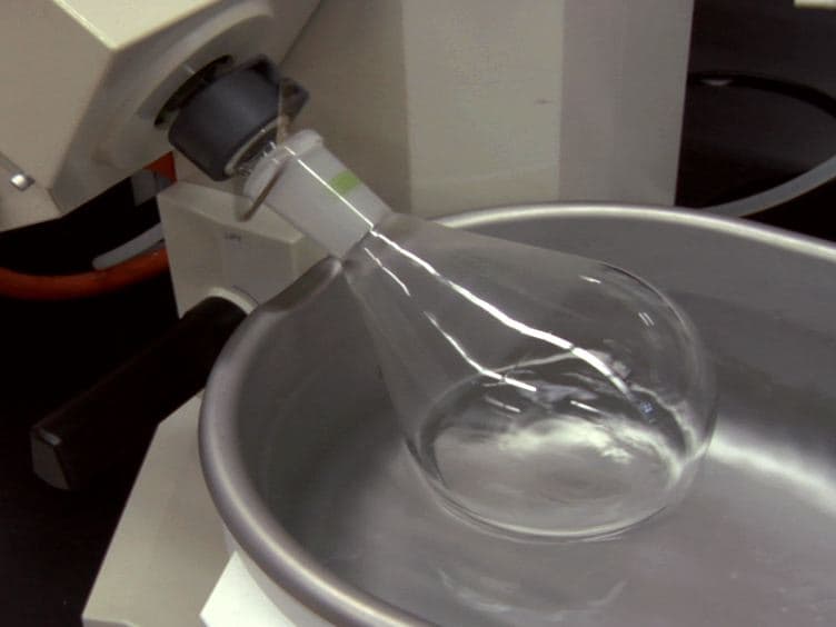 Isolation and Chemical Characterization of Lipid A from Gram-negative Bacteria