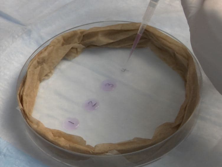 Using Click Chemistry to Measure the Effect of Viral Infection on Host-Cell RNA Synthesis