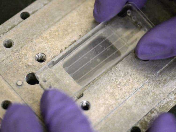 Stress-induced Antibiotic Susceptibility Testing on a Chip