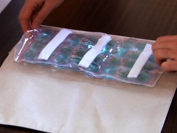 An Alternative to the Traditional Cold Pressor Test: The Cold Pressor Arm Wrap