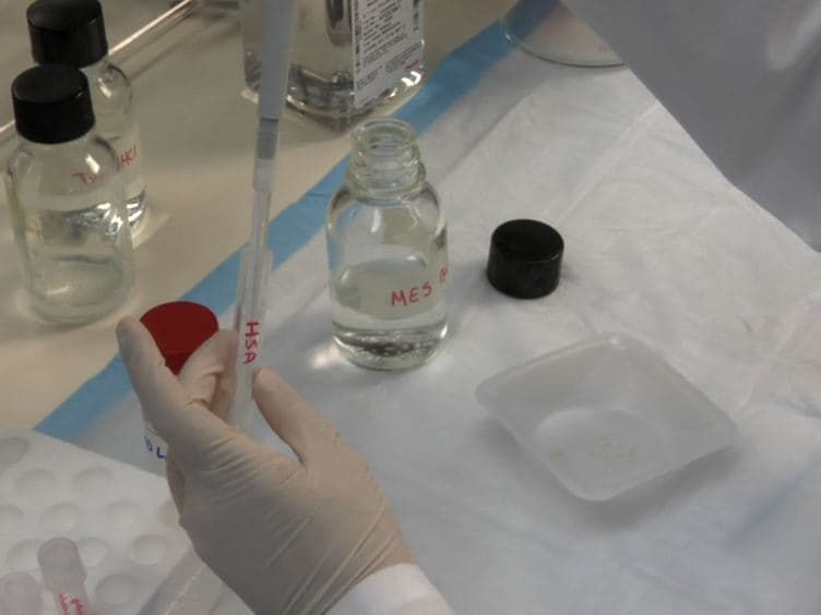 Rapid Generation of Amyloid from Native Proteins In vitro
