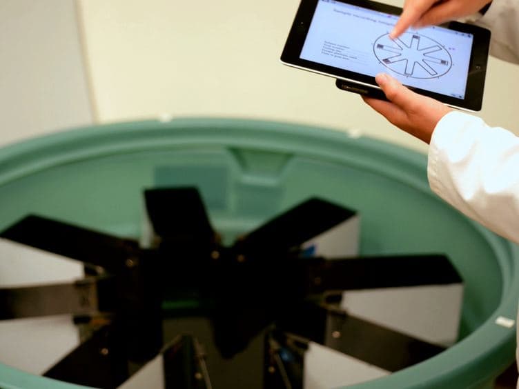 Use of an Eight-arm Radial Water Maze to Assess Working and Reference Memory Following Neonatal Brain Injury