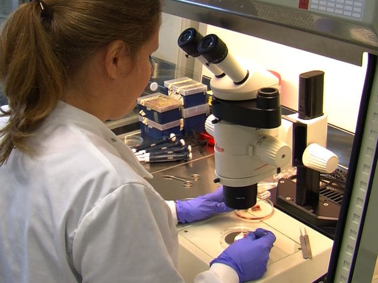 Generation of Lymph Node-fat Pad Chimeras for the Study of Lymph Node Stromal Cell Origin