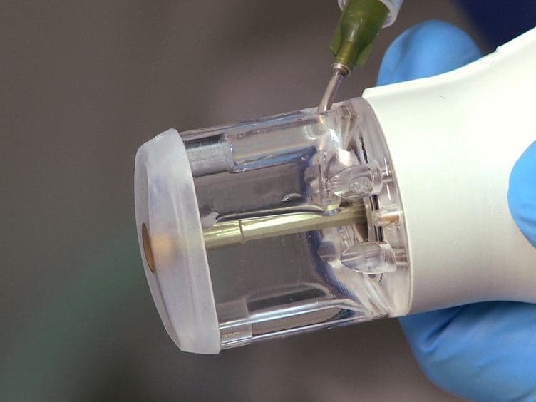 In utero Measurement of Heart Rate in Mouse by Noninvasive M-mode Echocardiography