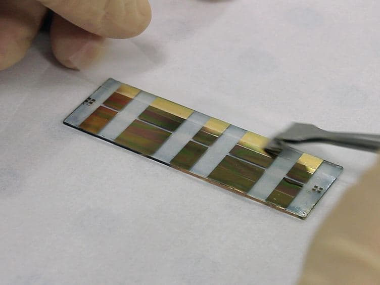 Sensing of Barrier Tissue Disruption with an Organic Electrochemical Transistor