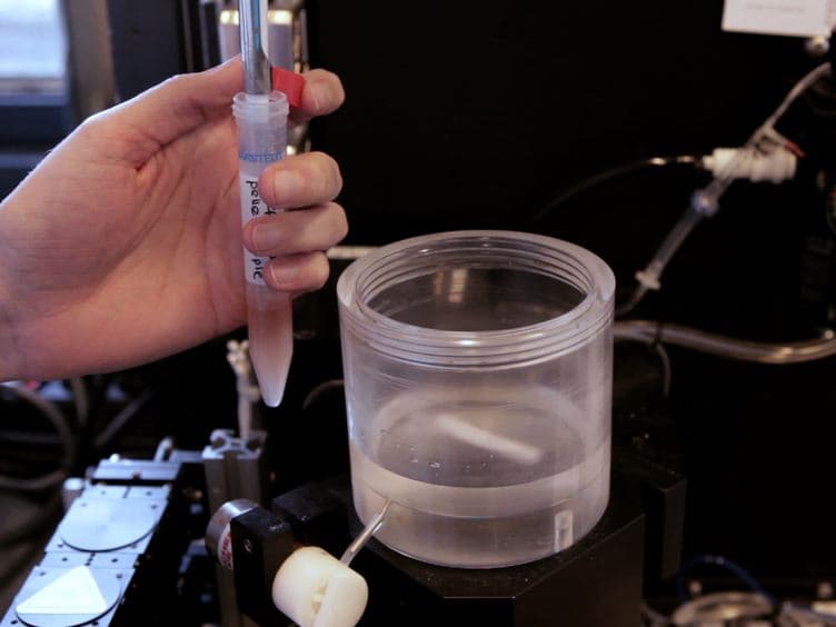 Sorting of Streptomyces Cell Pellets Using a Complex Object Parametric Analyzer and Sorter