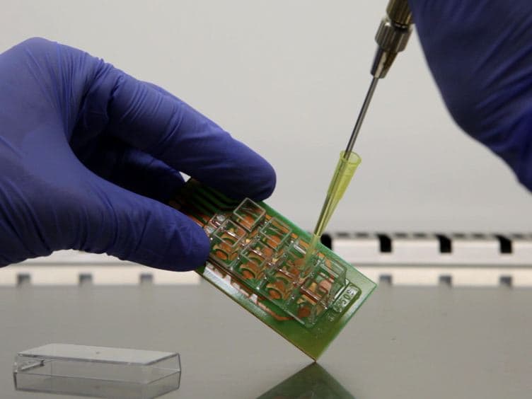Electric Cell-substrate Impedance Sensing for the Quantification of Endothelial Proliferation, Barrier Function, and Motility