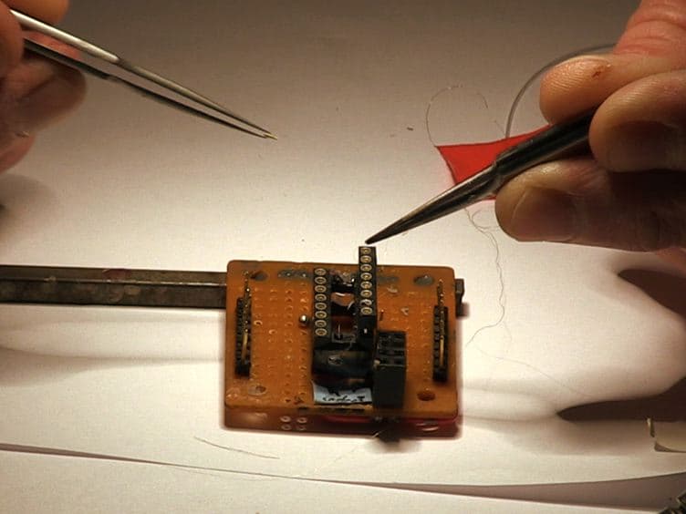Extracellular Wire Tetrode Recording in Brain of Freely Walking Insects