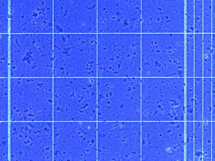 Glycopeptide Capture for Cell Surface Proteomics