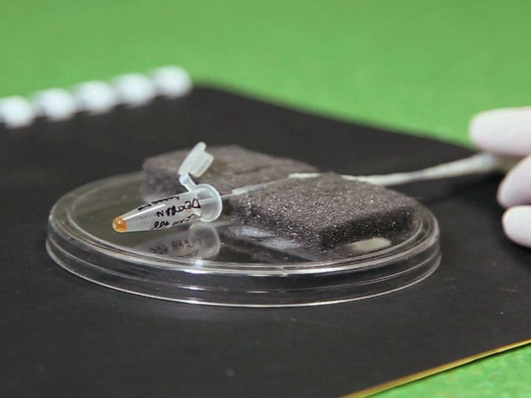Laser Nanosurgery of Cerebellar Axons <em>In Vivo</em>