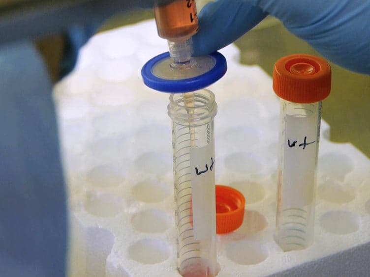 Rapid Screening of HIV Reverse Transcriptase and Integrase Inhibitors