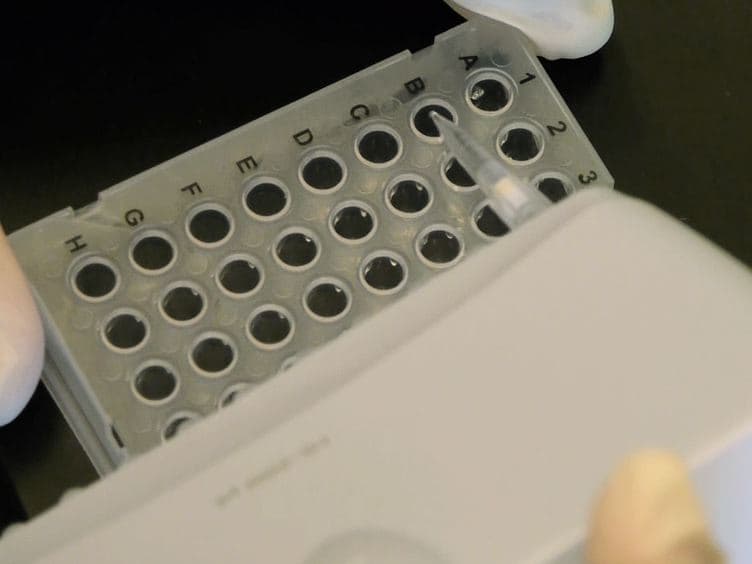 Profiling Individual Human Embryonic Stem Cells by Quantitative RT-PCR